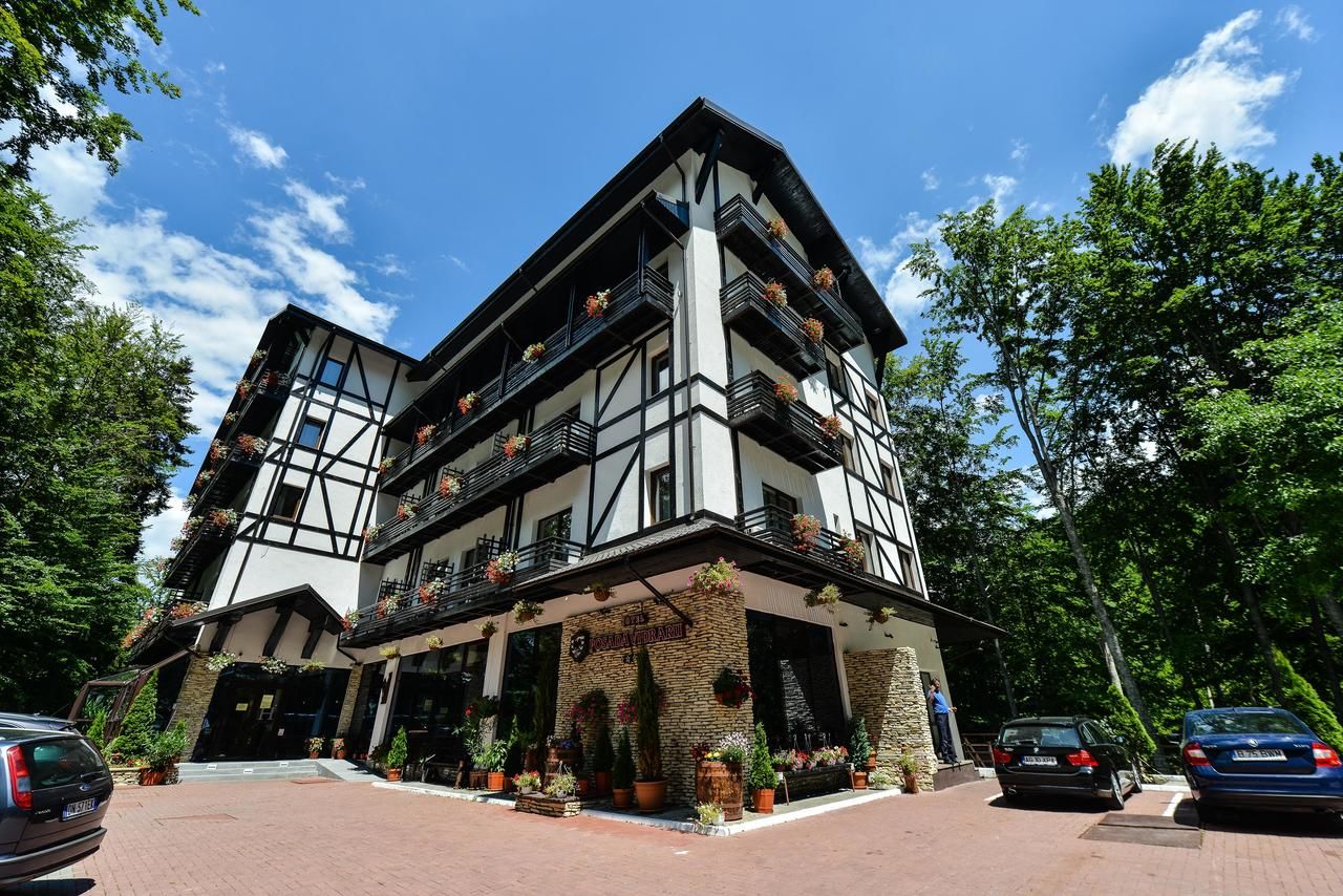 Отель Hotel Posada Vidraru Căpăţîneni-Ungureni-4