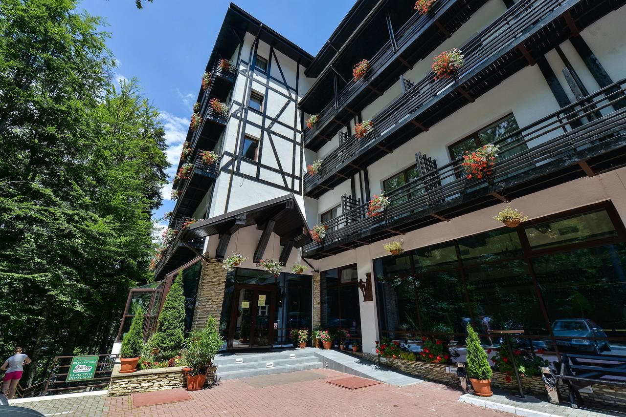Отель Hotel Posada Vidraru Căpăţîneni-Ungureni-6